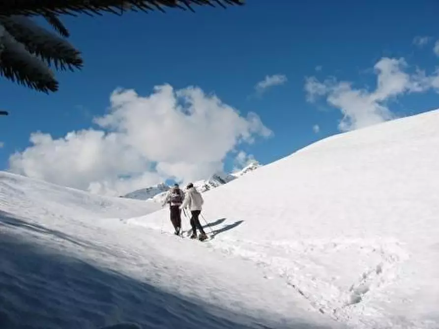 Immagine 7 di Hotel in vendita  a Giustino