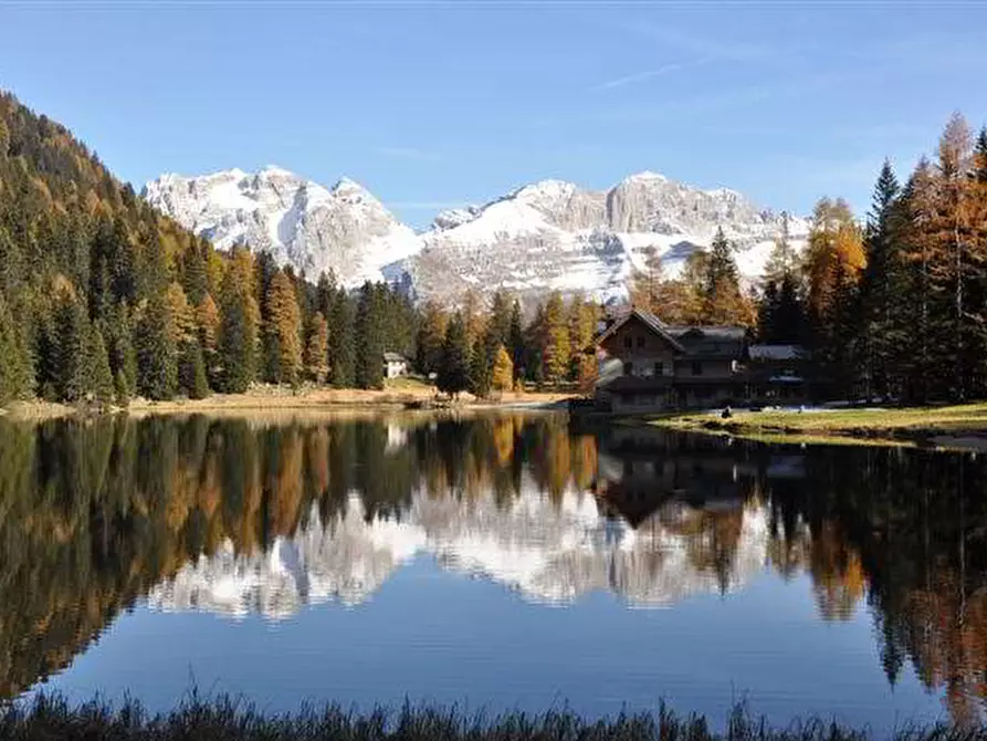 Immagine 8 di Hotel in vendita  a Giustino
