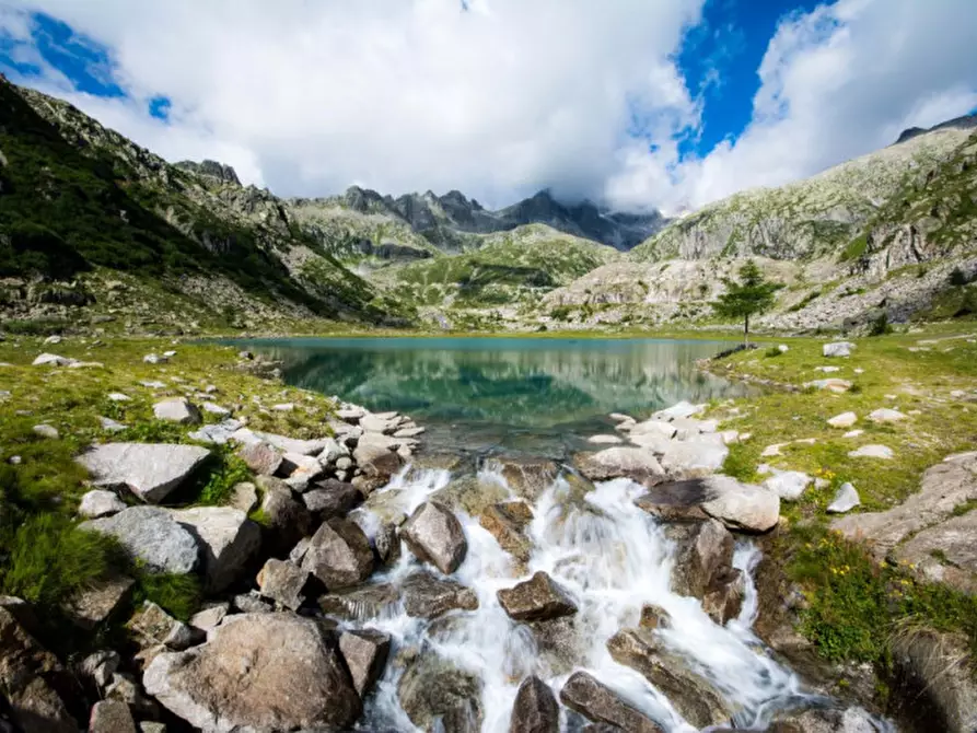 Immagine 9 di Hotel in vendita  a Giustino