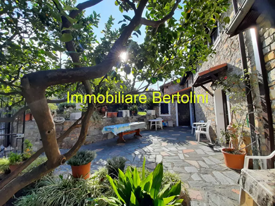 Immagine 7 di Villa in vendita  in BORDIGHERA Sasso a Bordighera