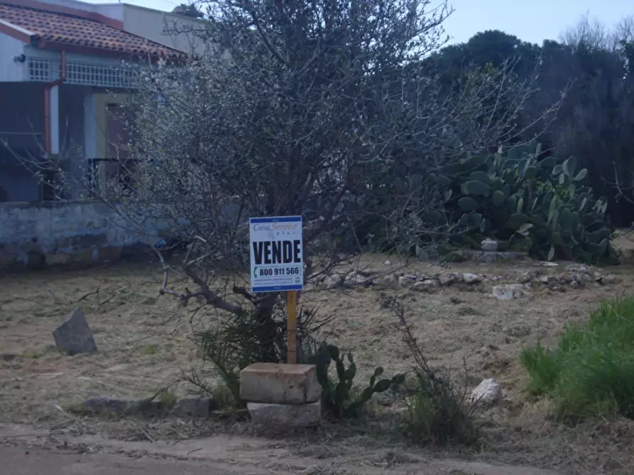 Immagine 2 di Terreno in vendita  a Racale
