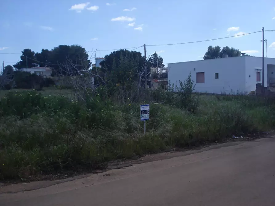 Immagine 3 di Terreno in vendita  a Racale