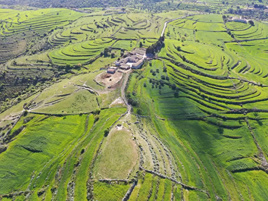 Immagine 13 di Villa in vendita  in VAL DI NOTO a Noto