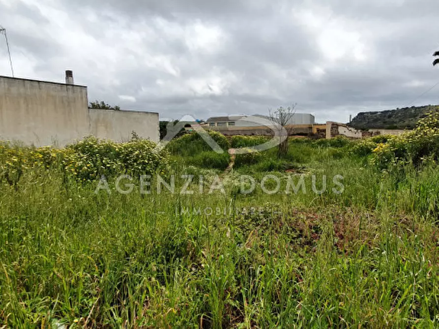 Immagine 3 di Terreno in vendita  in Via G. Pascoli a Alliste