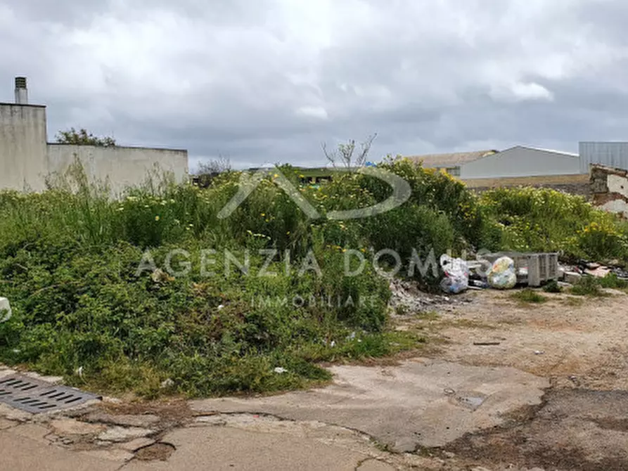 Immagine 5 di Terreno in vendita  in Via G. Pascoli a Alliste