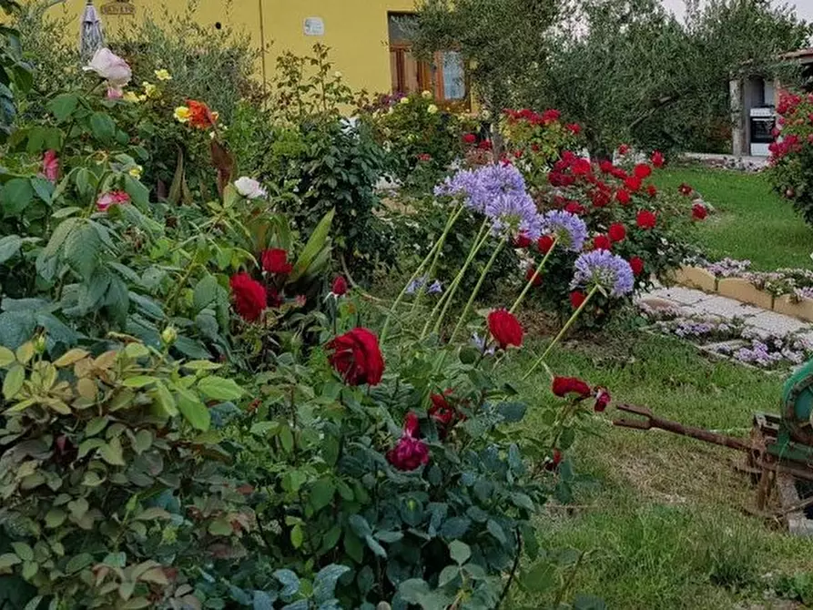 Immagine 3 di Agriturismo in vendita  a Pesaro