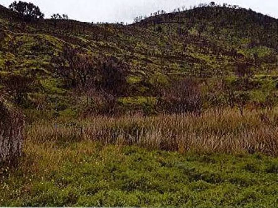 Immagine 22 di Hotel in vendita  in Contrada San Cosimo a Patti