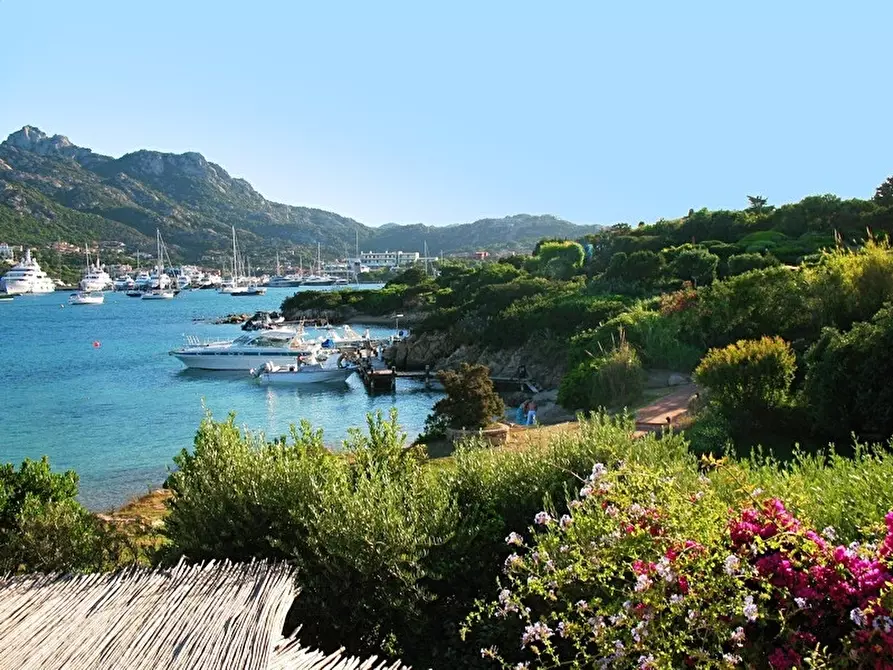 Immagine 3 di Appartamento in vendita  a Arzachena