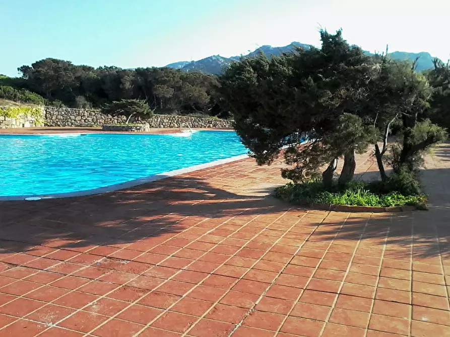 Immagine 15 di Appartamento in vendita  a Arzachena