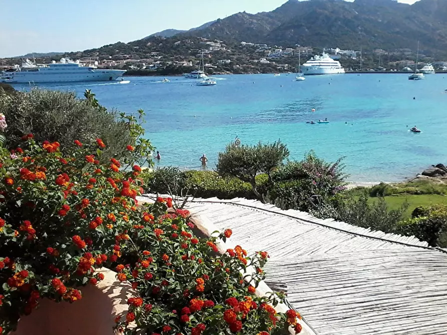 Immagine 16 di Appartamento in vendita  a Arzachena