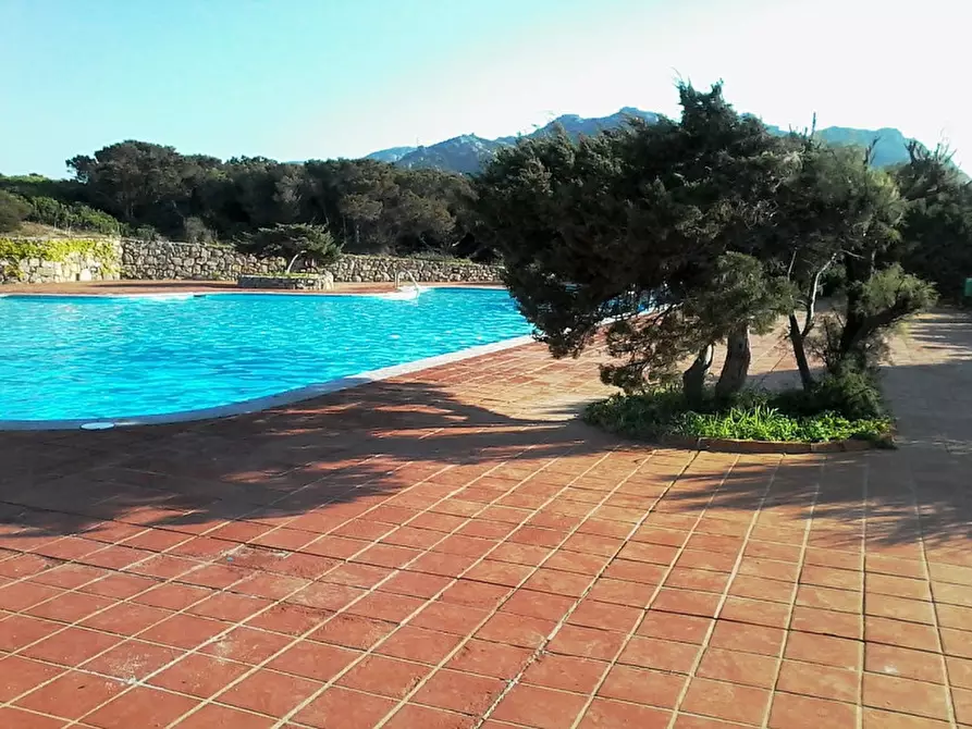 Immagine 17 di Appartamento in vendita  a Arzachena