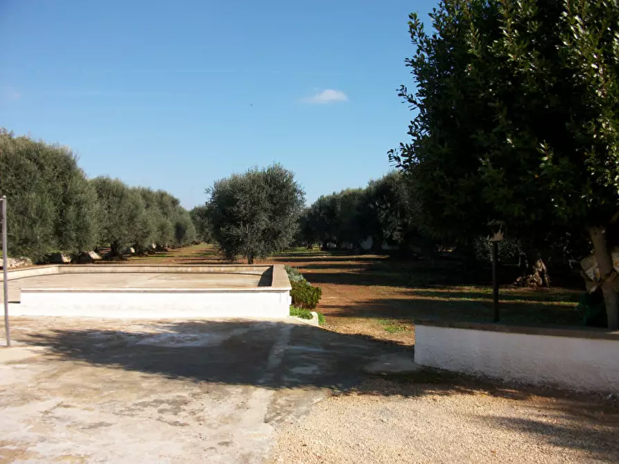 Immagine 2 di Rustico / casale in vendita  in contrada Giovannarolla a Ostuni