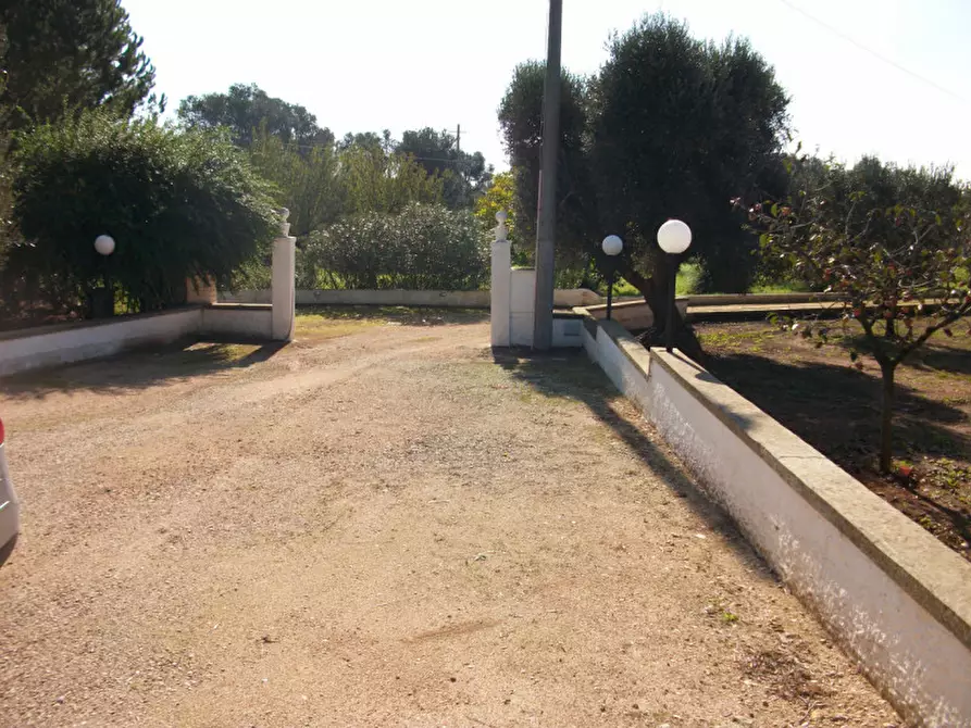 Immagine 3 di Rustico / casale in vendita  in contrada Giovannarolla a Ostuni