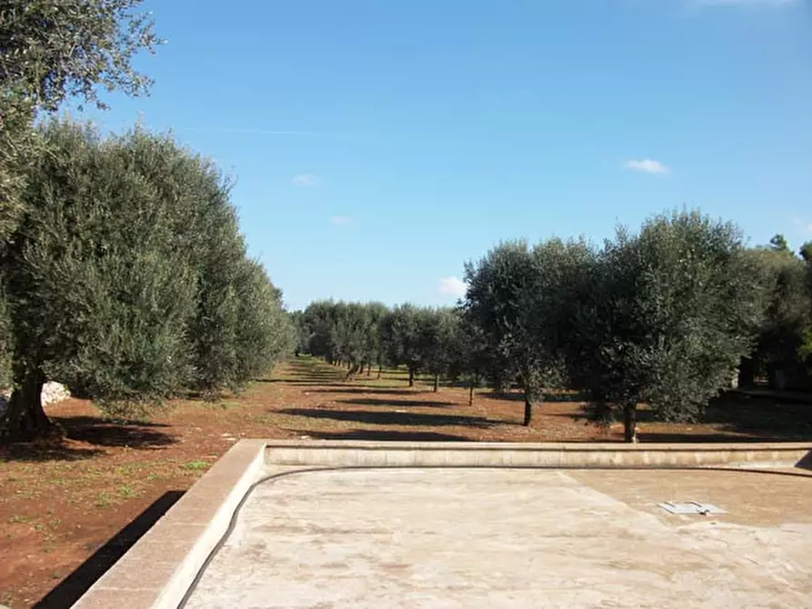 Immagine 12 di Rustico / casale in vendita  in contrada Giovannarolla a Ostuni