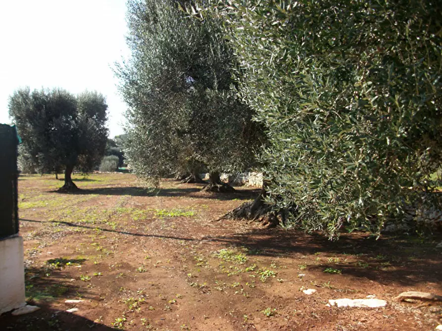 Immagine 14 di Rustico / casale in vendita  in contrada Giovannarolla a Ostuni