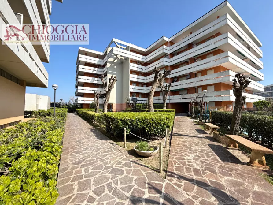 Immagine 2 di Appartamento in vendita  in Via Nazioni Unite a Chioggia