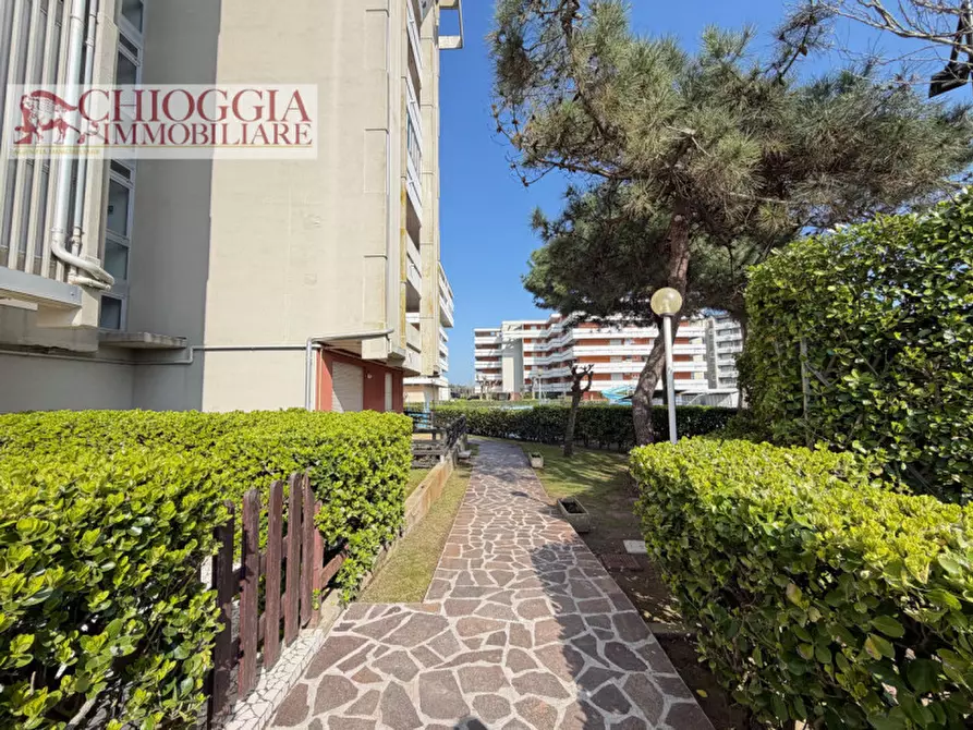 Immagine 16 di Appartamento in vendita  in Via Nazioni Unite a Chioggia