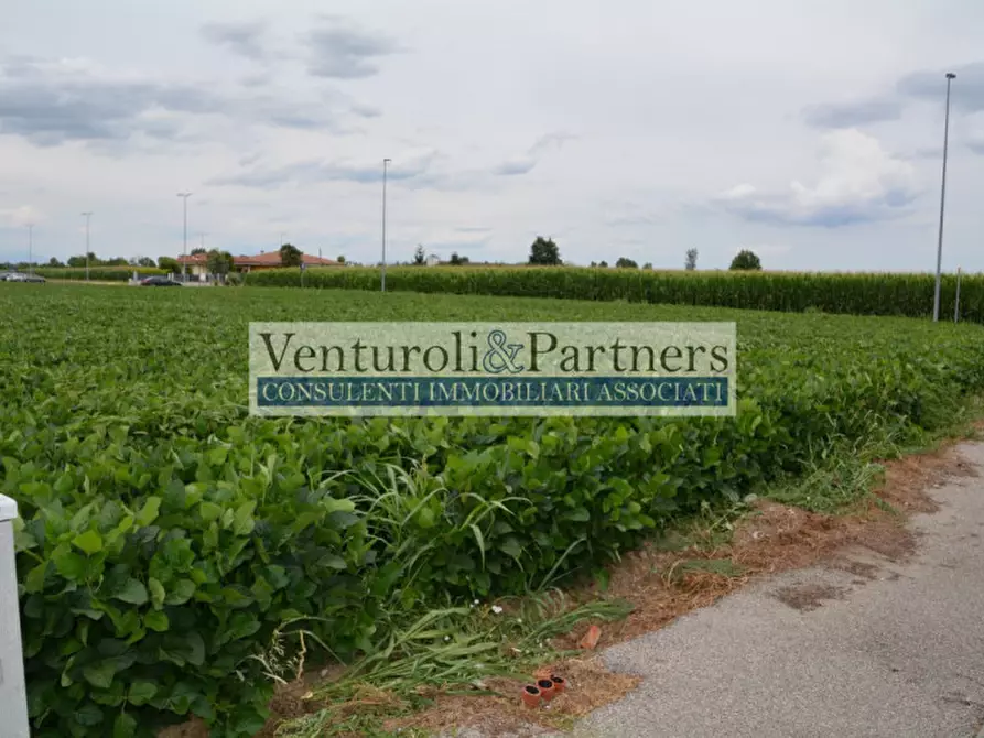 Immagine 6 di Terreno in vendita  in via statale a Calcinato