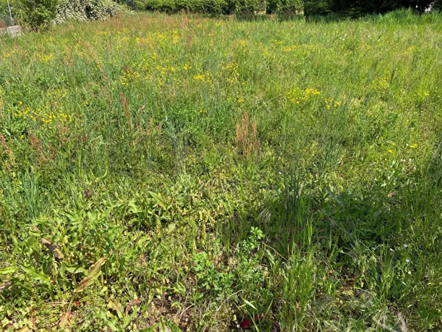 Immagine 2 di Terreno in vendita  in via larga a Bedizzole