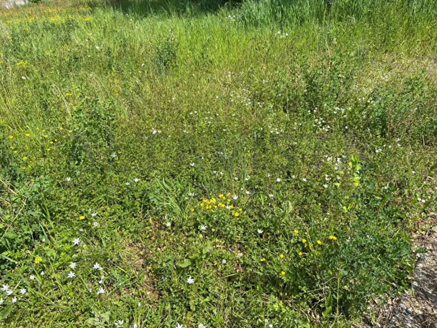 Immagine 3 di Terreno in vendita  in via larga a Bedizzole