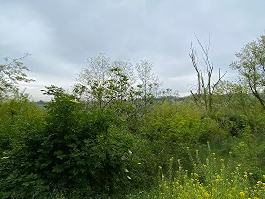 Immagine 8 di Rustico / casale in vendita  a Cesena