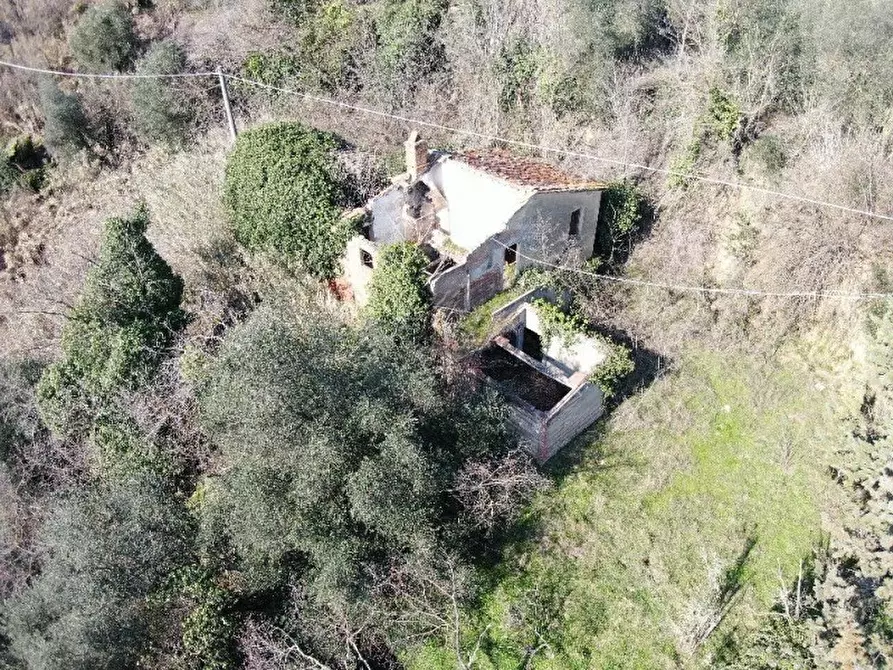 Immagine 20 di Rustico / casale in vendita  a Montopoli In Val D'arno