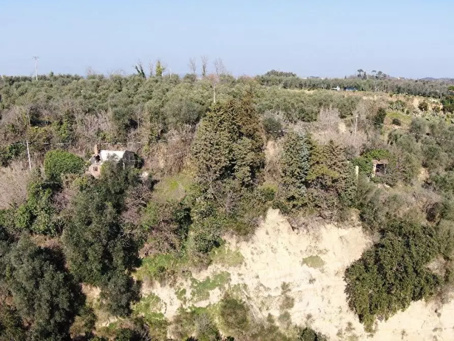 Immagine 21 di Rustico / casale in vendita  a Montopoli In Val D'arno