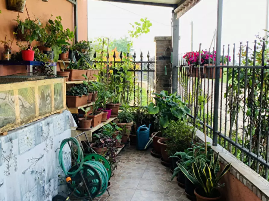 Immagine 2 di Villetta a schiera in vendita  in Via ceresare a Solesino