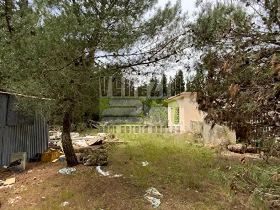 Immagine 1 di Villa in vendita  in condrada carrubbella a Avola