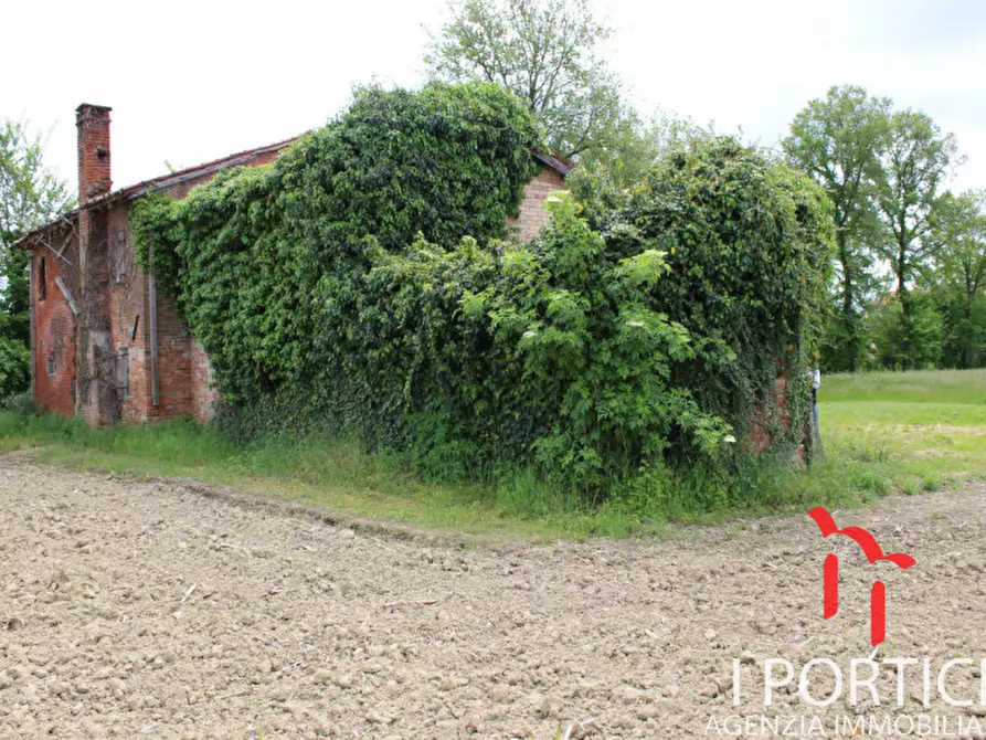 Immagine 10 di Rustico / casale in vendita  in VIA NUOVA MOGLIANESE a Scorzè