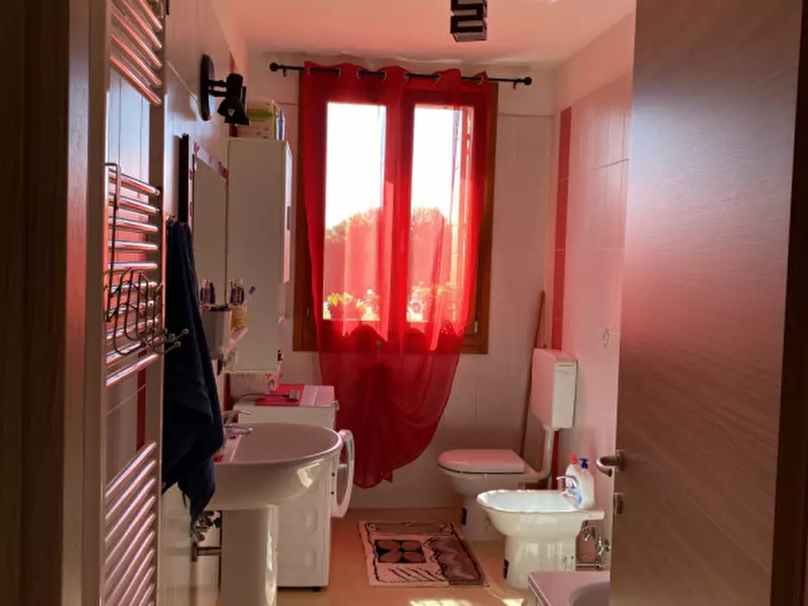 Immagine 10 di Appartamento in vendita  a Montagnana