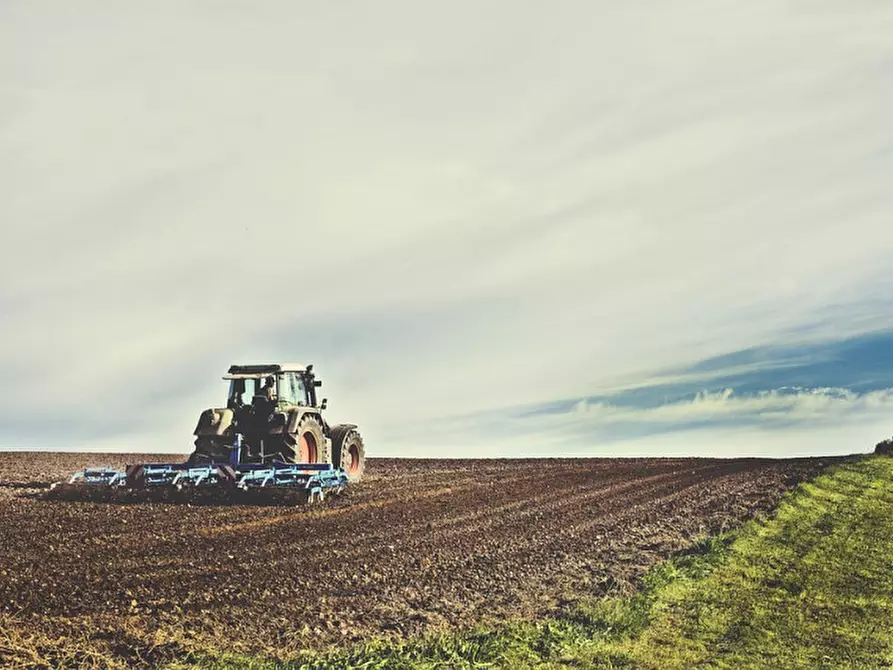 Immagine 2 di Terreno in vendita  a Este