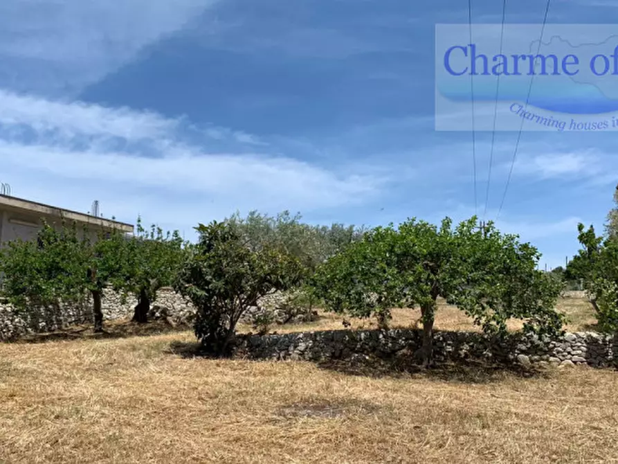 Immagine 2 di Terreno in vendita  in Via Dente a Modica