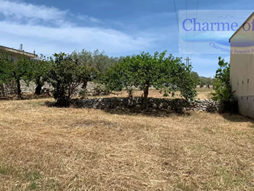 Immagine 6 di Terreno in vendita  in Via Dente a Modica