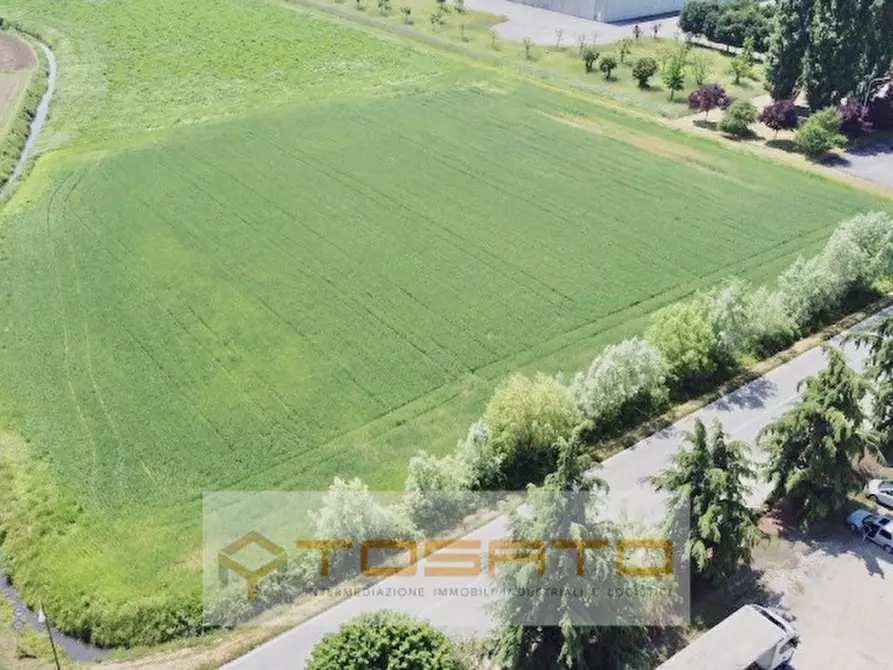 Immagine 1 di Terreno in vendita  a Cerea