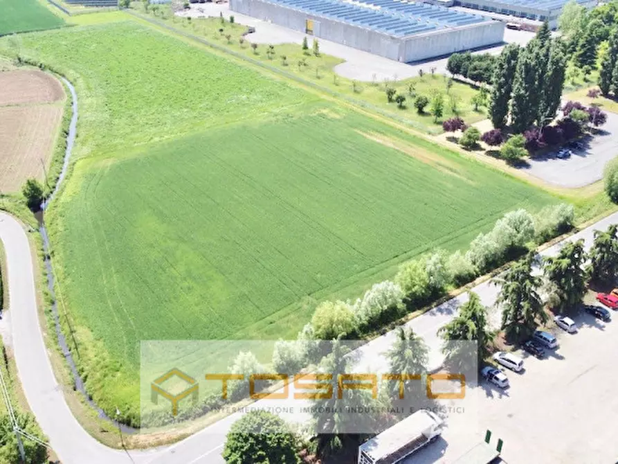 Immagine 2 di Terreno in vendita  a Cerea