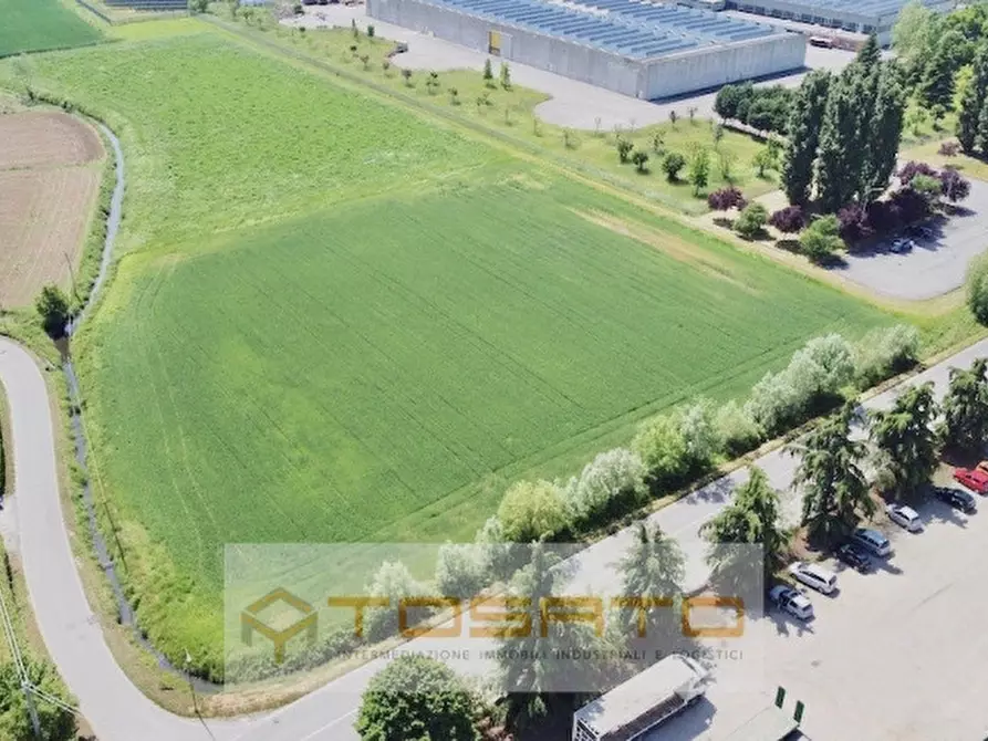 Immagine 2 di Terreno in vendita  a Cerea