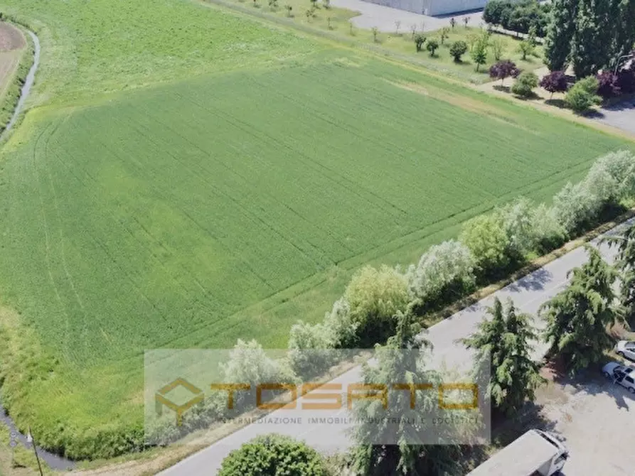 Immagine 3 di Terreno in vendita  a Cerea