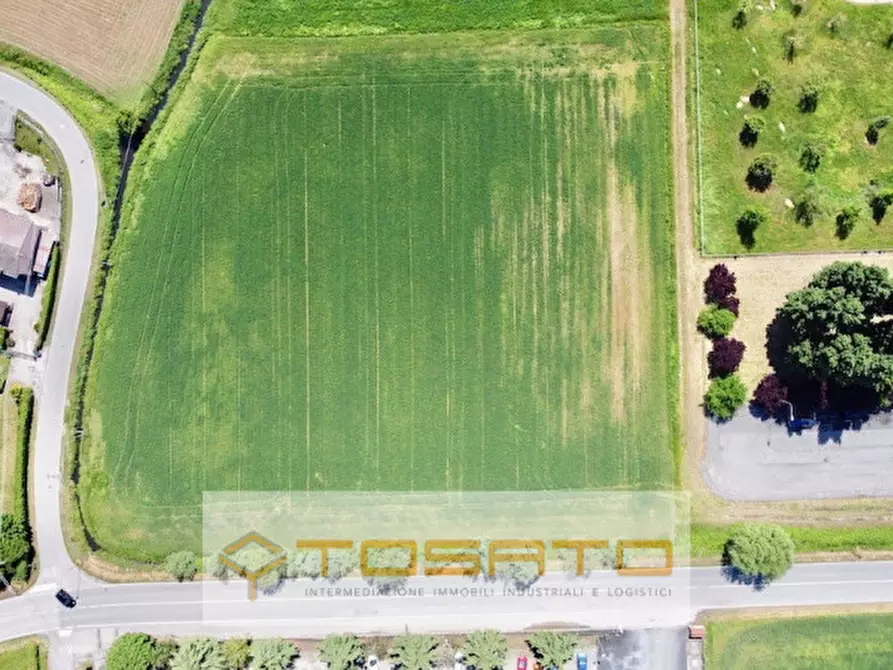 Immagine 5 di Terreno in vendita  a Cerea