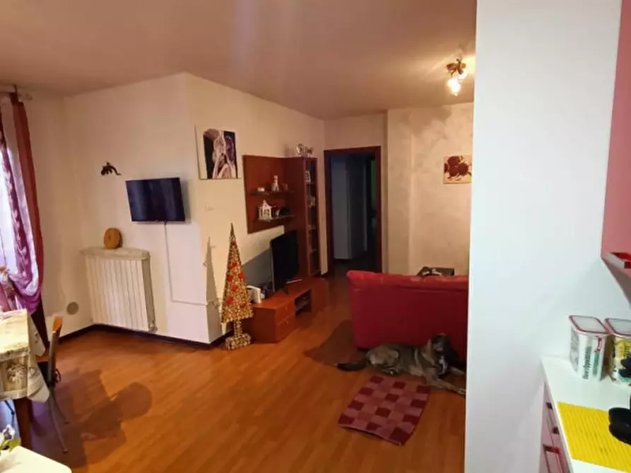 Immagine 8 di Appartamento in vendita  a Badia Polesine