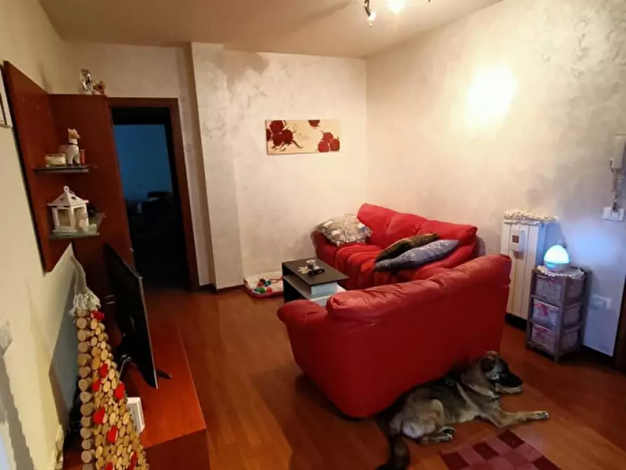 Immagine 13 di Appartamento in vendita  a Badia Polesine