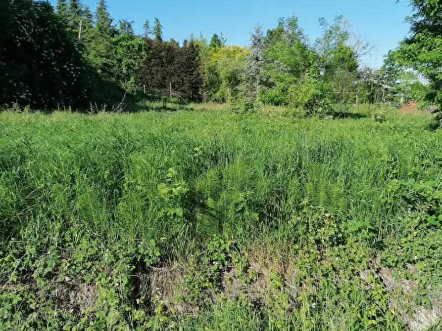 Immagine 2 di Terreno in vendita  in Via MOnteceresino a Santa Giuletta