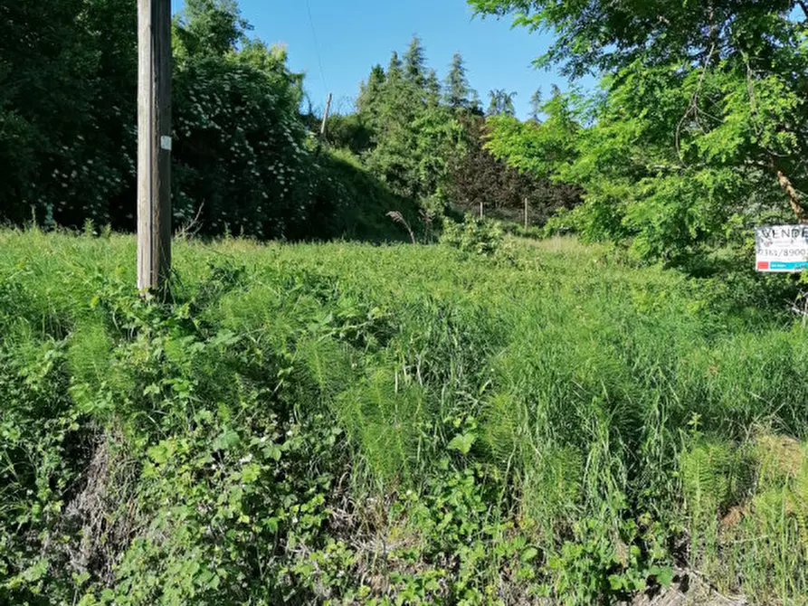 Immagine 3 di Terreno in vendita  in Via MOnteceresino a Santa Giuletta