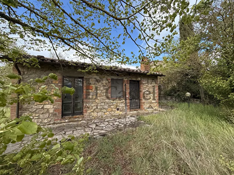 Immagine 3 di Rustico / casale in vendita  in Po' del vento a Piegaro