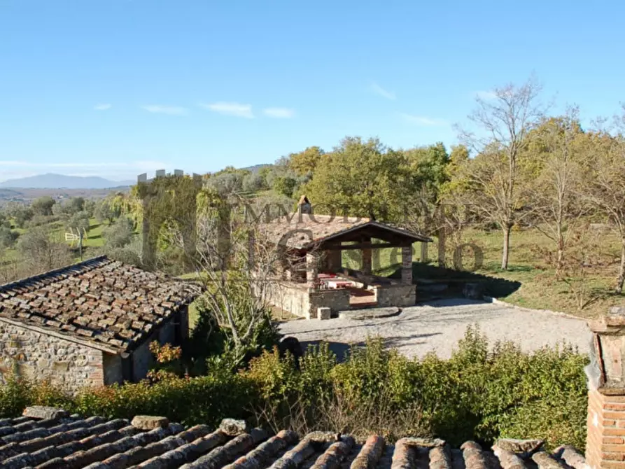 Immagine 14 di Rustico / casale in vendita  in Po' del vento a Piegaro