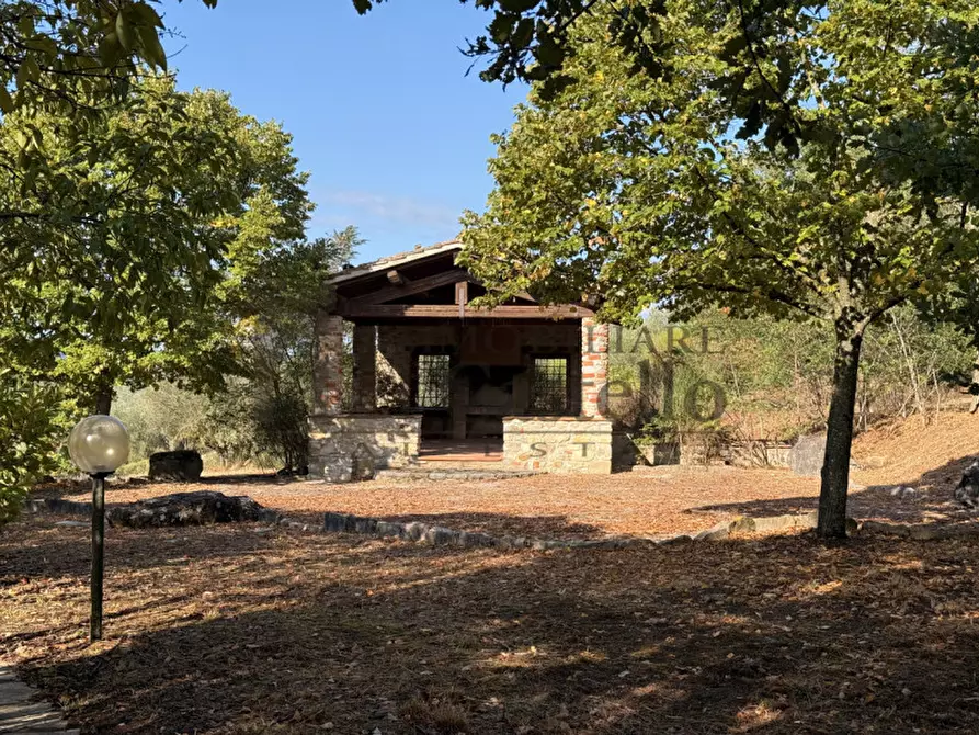 Immagine 16 di Rustico / casale in vendita  in Po' del vento a Piegaro