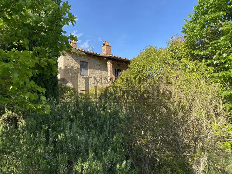 Immagine 20 di Rustico / casale in vendita  in Po' del vento a Piegaro