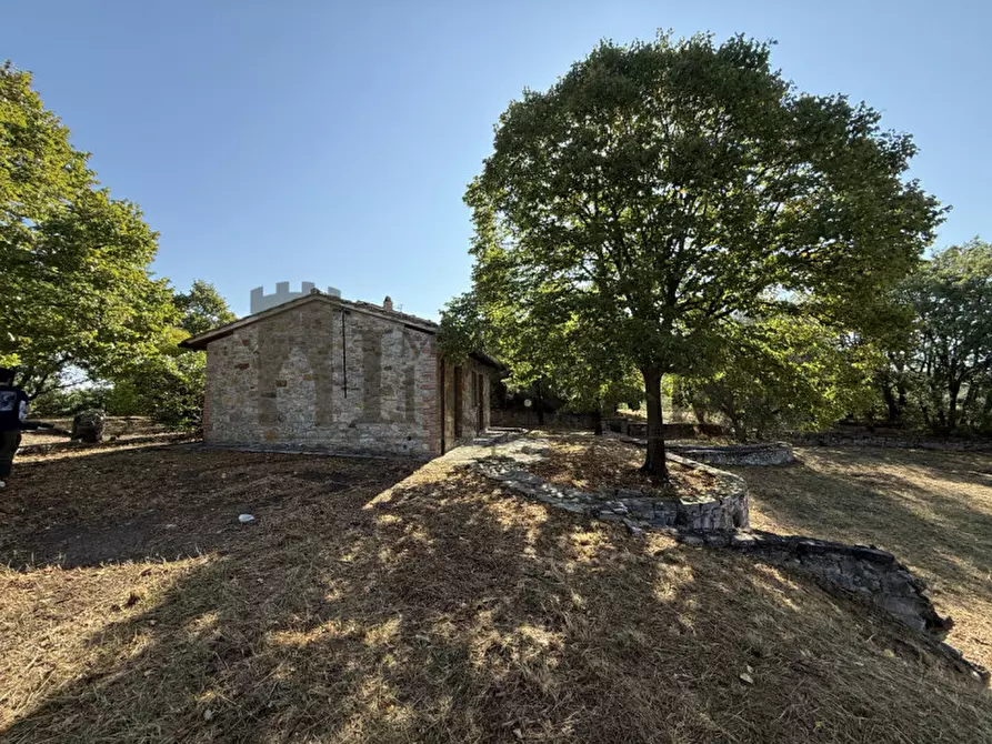 Immagine 21 di Rustico / casale in vendita  in Po' del vento a Piegaro