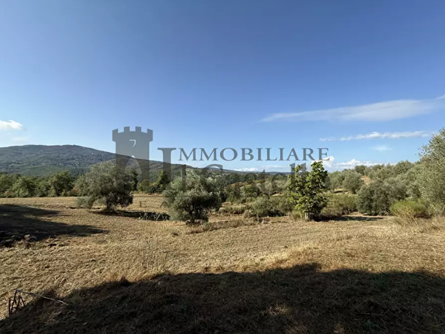 Immagine 22 di Rustico / casale in vendita  in Po' del vento a Piegaro