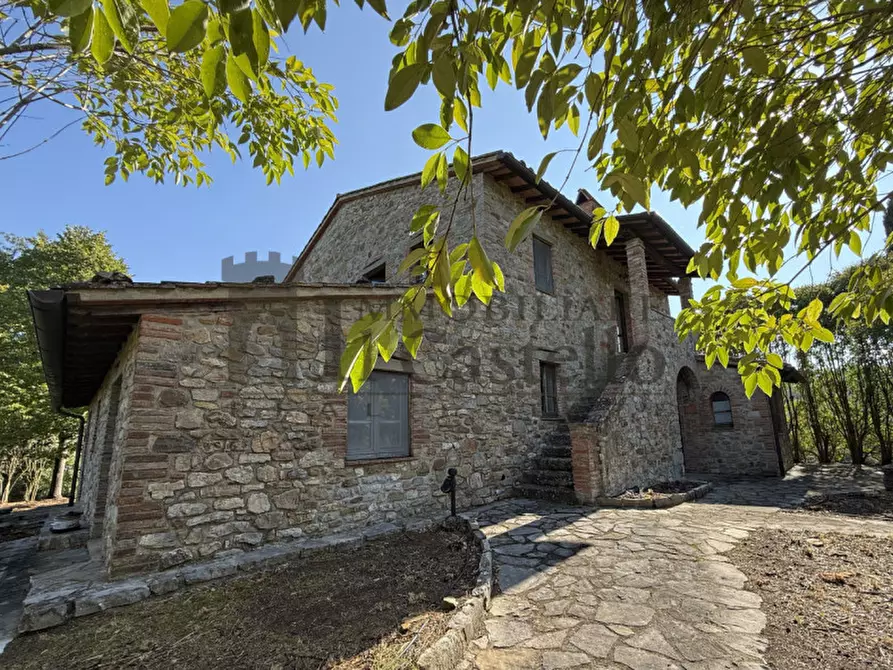 Immagine 24 di Rustico / casale in vendita  in Po' del vento a Piegaro